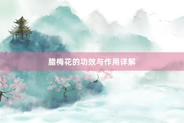 腊梅花的功效与作用详解